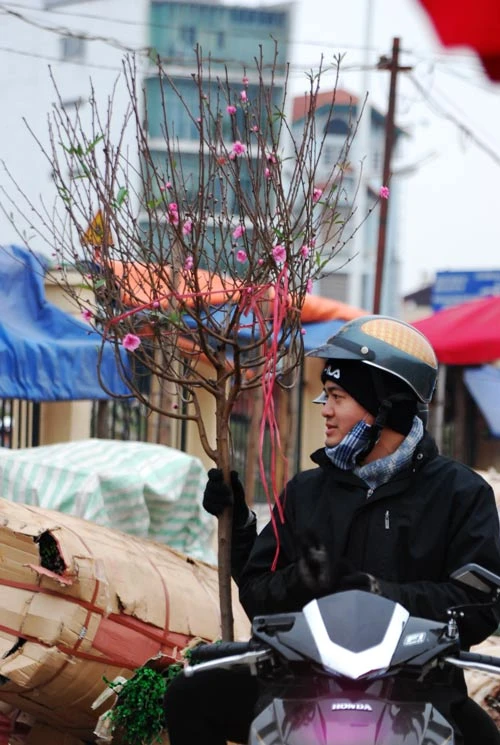 Nhộn nhịp chợ hoa Tết