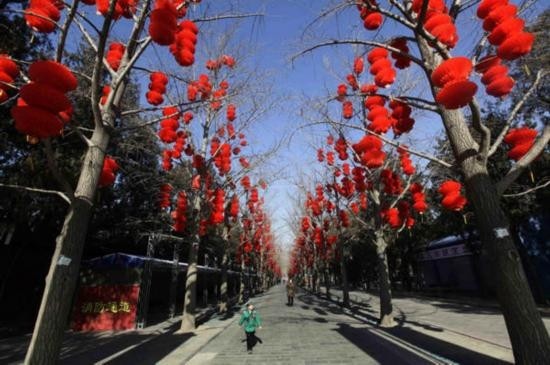 xuan 10.jpg