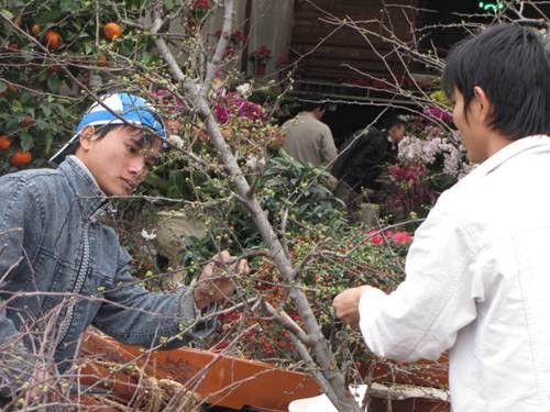 "Sắc xuân" tràn ngập phố ảnh 12 "Sắc xuân" tràn ngập phố ảnh 12