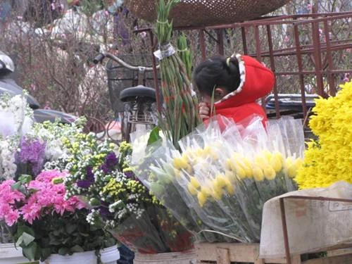 "Sắc xuân" tràn ngập phố ảnh 11