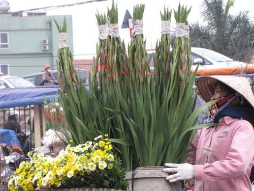 "Sắc xuân" tràn ngập phố ảnh 10 "Sắc xuân" tràn ngập phố ảnh 10