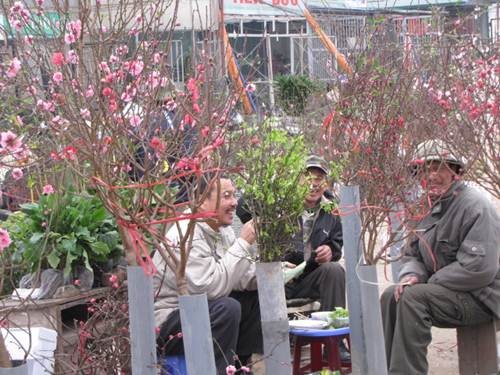 "Sắc xuân" tràn ngập phố ảnh 16 "Sắc xuân" tràn ngập phố ảnh 16