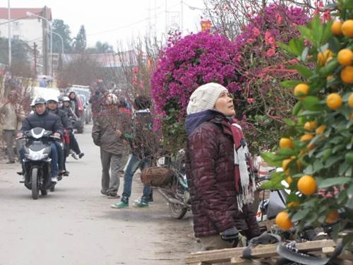 "Sắc xuân" tràn ngập phố ảnh 15