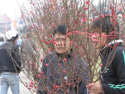 "Sắc xuân" tràn ngập phố ảnh 9