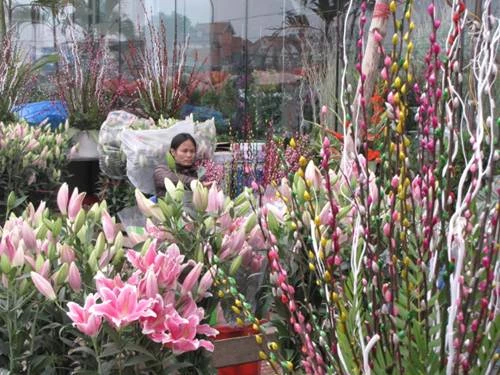 "Sắc xuân" tràn ngập phố ảnh 5