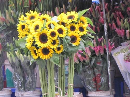 "Sắc xuân" tràn ngập phố ảnh 6 "Sắc xuân" tràn ngập phố ảnh 6