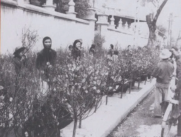 Thăm chợ hoa… 500 tuổi ở Phố cổ Hà Nội ảnh 3