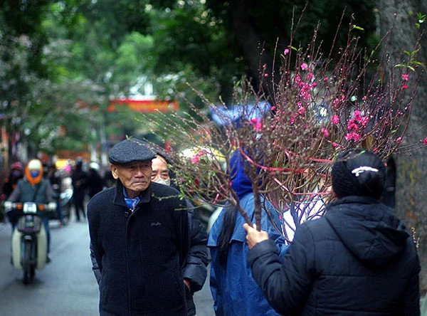 Thăm chợ hoa… 500 tuổi ở Phố cổ Hà Nội ảnh 9 Thăm chợ hoa… 500 tuổi ở Phố cổ Hà Nội ảnh 9