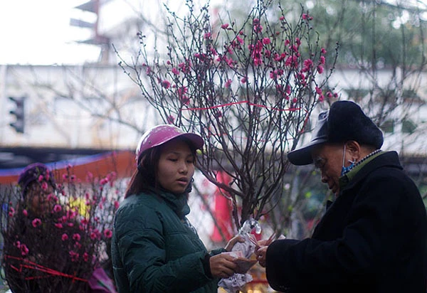 Thăm chợ hoa… 500 tuổi ở Phố cổ Hà Nội ảnh 1