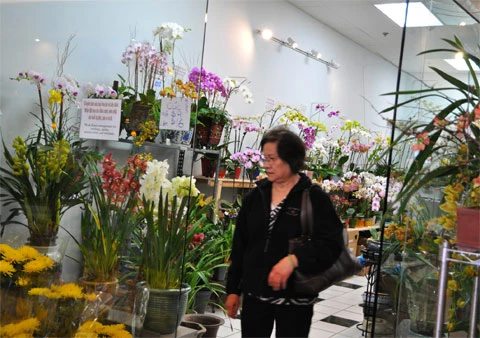 Chợ Tết ở San Jose