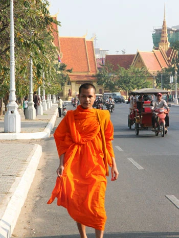 Một thoáng Chùa Tháp ảnh 4