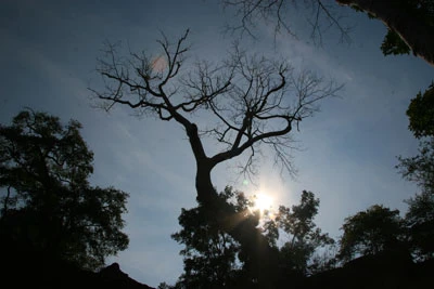 Một thoáng Chùa Tháp ảnh 14