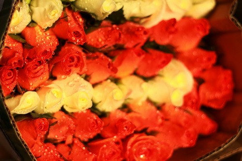 Muôn sắc màu những nụ Tầm xuân ảnh 20