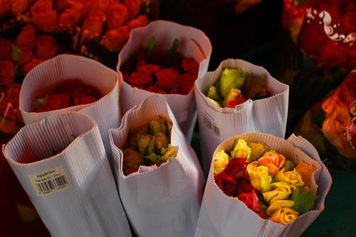 Muôn sắc màu những nụ Tầm xuân ảnh 21