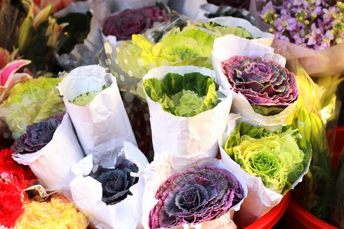 Muôn sắc màu những nụ Tầm xuân ảnh 17