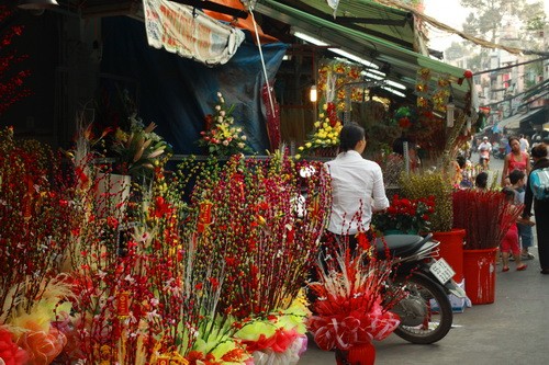 Muôn sắc màu những nụ Tầm xuân ảnh 5