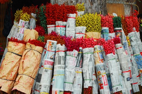 Muôn sắc màu những nụ Tầm xuân ảnh 1