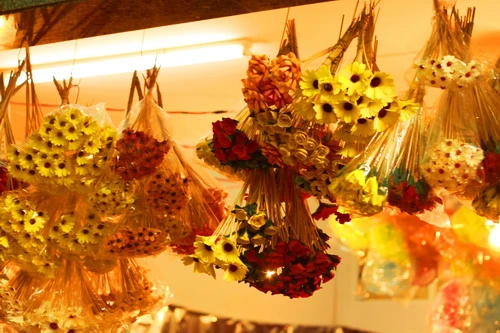 Muôn sắc màu những nụ Tầm xuân ảnh 11