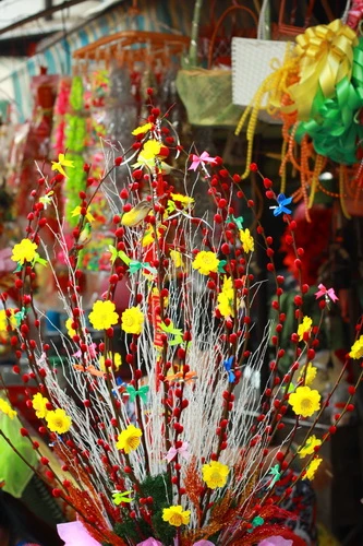 Muôn sắc màu những nụ Tầm xuân ảnh 9