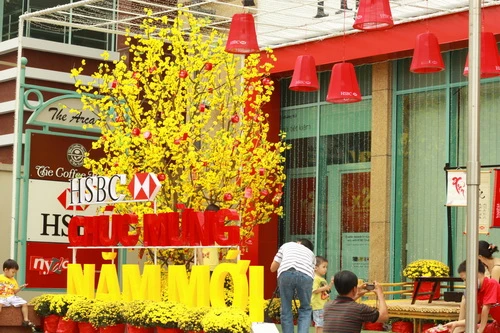 Đường phố Sài Gòn rực rỡ đón Xuân về ảnh 14