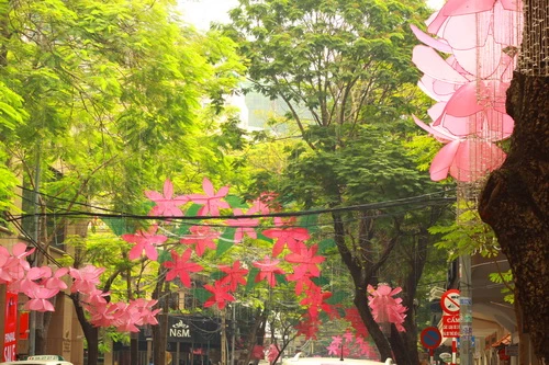 Đường phố Sài Gòn rực rỡ đón Xuân về ảnh 3