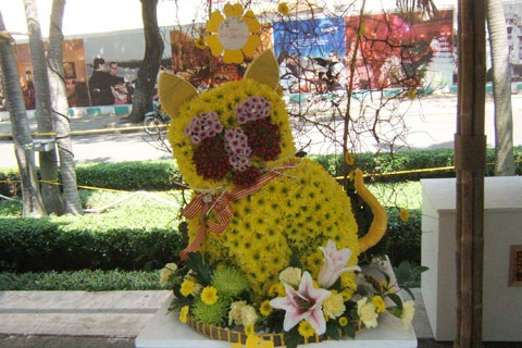 Một chú mèo két bằng hoa dễ thương rất nhiều người thích thú.