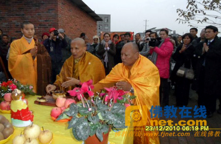 congchua 4.png