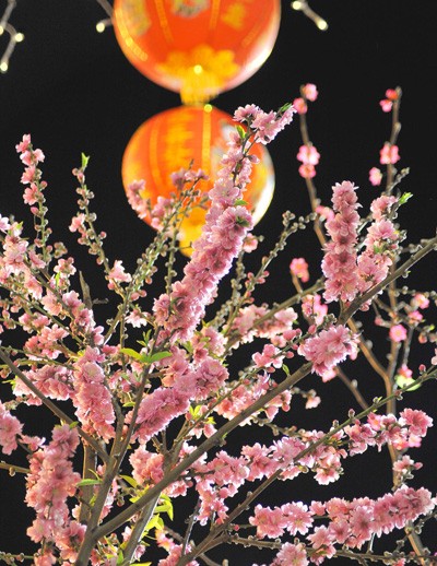 Đón giao thừa ở Nam Cali ảnh 1