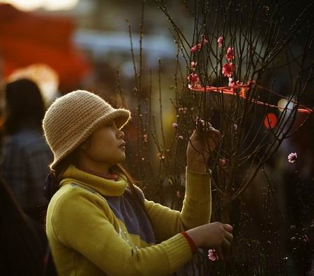 Đào Tết khoe sắc thắm trong ngày xuân ở Hà Nội. Ảnh: tuan90D (Vnphoto.net). Sắc đào xuân rực rỡ trên vùng cao. Ảnh: haidt (Xóm nhiếp ảnh). Nụ cười hồn nhiên của một thôn nữ làng hoa cảnh Tân Quy Đông, Sa Đéc, Đồng Tháp. Ảnh: TuanAT (Saigonphoto.net). Một góc chợ hoa Hàng Lược (Hà Nội) đêm 30 Tết. Ảnh: Hồng Quân. Pháo hoa rực rỡ trong thời khắc giao thừa ở TP HCM. Ảnh: huy-vien (Saigonphoto.net). Khoảnh khắc hạnh phức dưới bầu trời lung linh pháo hoa. Ảnh: thầy chùa (Xóm nhiếp ảnh). Nụ cười trong mùa xuân mới. Ảnh: bear (Xóm nhiếp ảnh). Gửi gắm tâm nguyện tại cửa chùa ngày đầu năm mới. Ảnh: us5767 (vnphoto.net). Niềm vui trong dịp Tết con mèo. Ảnh: qbart (Saigonphoto.net). Ảnh đẹp ngày xuân trên mọi miền đất nước