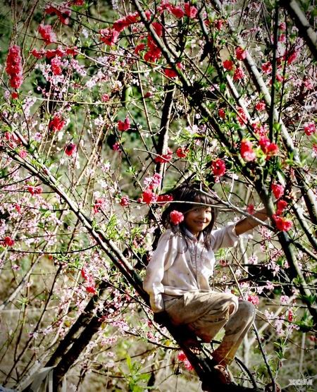 Đào Tết khoe sắc thắm trong ngày xuân ở Hà Nội. Ảnh: tuan90D (Vnphoto.net). Sắc đào xuân rực rỡ trên vùng cao. Ảnh: haidt (Xóm nhiếp ảnh). Nụ cười hồn nhiên của một thôn nữ làng hoa cảnh Tân Quy Đông, Sa Đéc, Đồng Tháp. Ảnh: TuanAT (Saigonphoto.net). Một góc chợ hoa Hàng Lược (Hà Nội) đêm 30 Tết. Ảnh: Hồng Quân. Pháo hoa rực rỡ trong thời khắc giao thừa ở TP HCM. Ảnh: huy-vien (Saigonphoto.net). Khoảnh khắc hạnh phức dưới bầu trời lung linh pháo hoa. Ảnh: thầy chùa (Xóm nhiếp ảnh). Nụ cười trong mùa xuân mới. Ảnh: bear (Xóm nhiếp ảnh). Gửi gắm tâm nguyện tại cửa chùa ngày đầu năm mới. Ảnh: us5767 (vnphoto.net). Niềm vui trong dịp Tết con mèo. Ảnh: qbart (Saigonphoto.net). Ảnh đẹp ngày xuân trên mọi miền đất nước