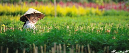 Đào Tết khoe sắc thắm trong ngày xuân ở Hà Nội. Ảnh: tuan90D (Vnphoto.net). Sắc đào xuân rực rỡ trên vùng cao. Ảnh: haidt (Xóm nhiếp ảnh). Nụ cười hồn nhiên của một thôn nữ làng hoa cảnh Tân Quy Đông, Sa Đéc, Đồng Tháp. Ảnh: TuanAT (Saigonphoto.net). Một góc chợ hoa Hàng Lược (Hà Nội) đêm 30 Tết. Ảnh: Hồng Quân. Pháo hoa rực rỡ trong thời khắc giao thừa ở TP HCM. Ảnh: huy-vien (Saigonphoto.net). Khoảnh khắc hạnh phức dưới bầu trời lung linh pháo hoa. Ảnh: thầy chùa (Xóm nhiếp ảnh). Nụ cười trong mùa xuân mới. Ảnh: bear (Xóm nhiếp ảnh). Gửi gắm tâm nguyện tại cửa chùa ngày đầu năm mới. Ảnh: us5767 (vnphoto.net). Niềm vui trong dịp Tết con mèo. Ảnh: qbart (Saigonphoto.net). Ảnh đẹp ngày xuân trên mọi miền đất nước