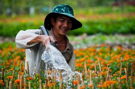 Đào Tết khoe sắc thắm trong ngày xuân ở Hà Nội. Ảnh: tuan90D (Vnphoto.net). Sắc đào xuân rực rỡ trên vùng cao. Ảnh: haidt (Xóm nhiếp ảnh). Nụ cười hồn nhiên của một thôn nữ làng hoa cảnh Tân Quy Đông, Sa Đéc, Đồng Tháp. Ảnh: TuanAT (Saigonphoto.net). Một góc chợ hoa Hàng Lược (Hà Nội) đêm 30 Tết. Ảnh: Hồng Quân. Pháo hoa rực rỡ trong thời khắc giao thừa ở TP HCM. Ảnh: huy-vien (Saigonphoto.net). Khoảnh khắc hạnh phức dưới bầu trời lung linh pháo hoa. Ảnh: thầy chùa (Xóm nhiếp ảnh). Nụ cười trong mùa xuân mới. Ảnh: bear (Xóm nhiếp ảnh). Gửi gắm tâm nguyện tại cửa chùa ngày đầu năm mới. Ảnh: us5767 (vnphoto.net). Niềm vui trong dịp Tết con mèo. Ảnh: qbart (Saigonphoto.net). Ảnh đẹp ngày xuân trên mọi miền đất nước
