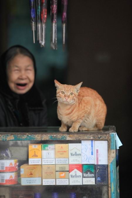 Đào Tết khoe sắc thắm trong ngày xuân ở Hà Nội. Ảnh: tuan90D (Vnphoto.net). Sắc đào xuân rực rỡ trên vùng cao. Ảnh: haidt (Xóm nhiếp ảnh). Nụ cười hồn nhiên của một thôn nữ làng hoa cảnh Tân Quy Đông, Sa Đéc, Đồng Tháp. Ảnh: TuanAT (Saigonphoto.net). Một góc chợ hoa Hàng Lược (Hà Nội) đêm 30 Tết. Ảnh: Hồng Quân. Pháo hoa rực rỡ trong thời khắc giao thừa ở TP HCM. Ảnh: huy-vien (Saigonphoto.net). Khoảnh khắc hạnh phức dưới bầu trời lung linh pháo hoa. Ảnh: thầy chùa (Xóm nhiếp ảnh). Nụ cười trong mùa xuân mới. Ảnh: bear (Xóm nhiếp ảnh). Gửi gắm tâm nguyện tại cửa chùa ngày đầu năm mới. Ảnh: us5767 (vnphoto.net). Niềm vui trong dịp Tết con mèo. Ảnh: qbart (Saigonphoto.net). Ảnh đẹp ngày xuân trên mọi miền đất nước