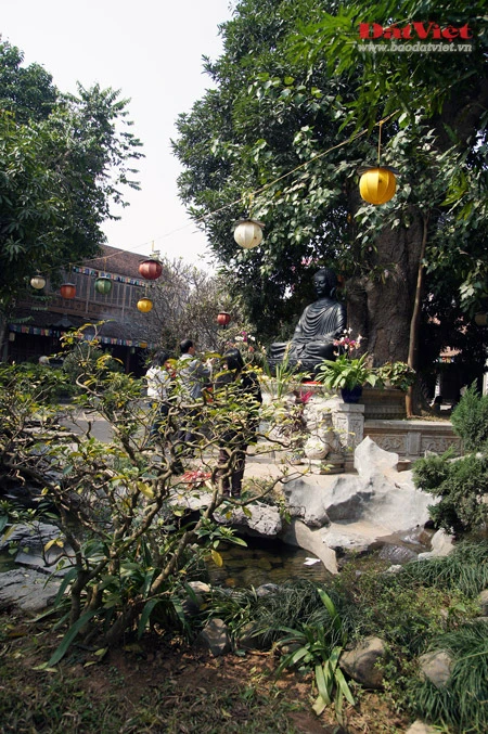 Một thoáng Tây Tạng giữa lòng Hà Nội