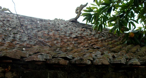 Loại ngói dày rất đặc biệt.