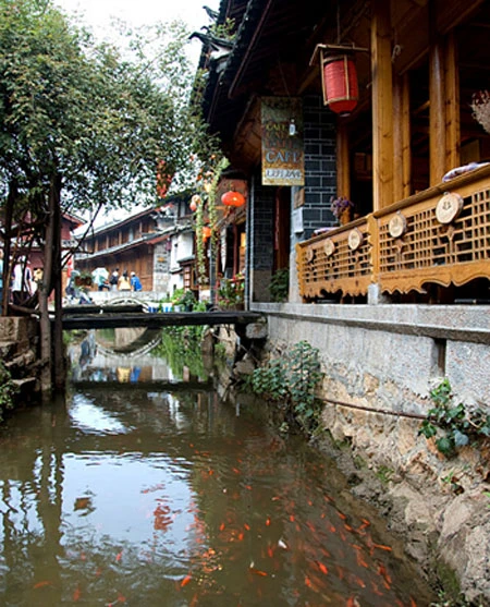 Năm mới đến Lệ Giang du xuân ảnh 15