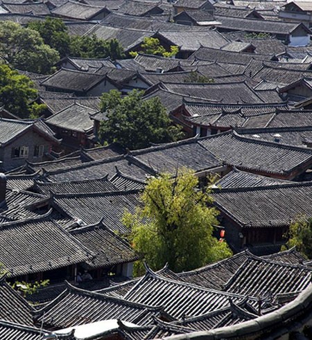 Năm mới đến Lệ Giang du xuân ảnh 8 Năm mới đến Lệ Giang du xuân ảnh 8
