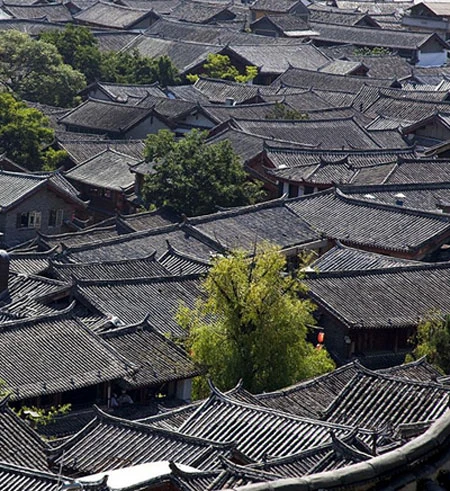 Năm mới đến Lệ Giang du xuân ảnh 8