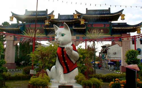 Đầu xuân tới thăm thành phố mèo tại Malaysia ảnh 2