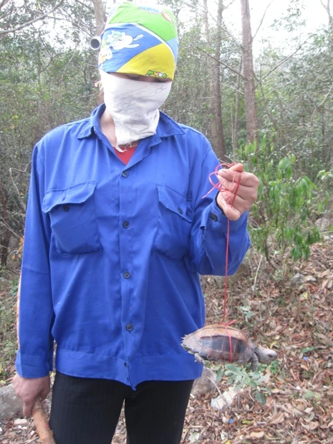 Rùa đá và sóc vẫn được bày bán.