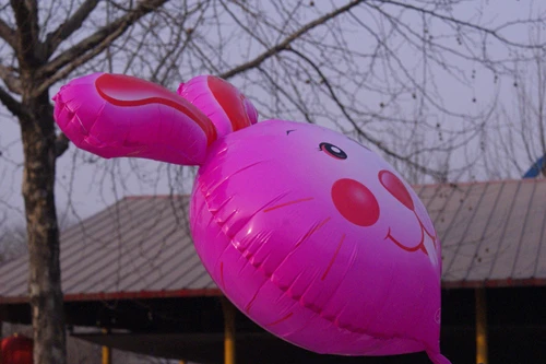 Du lịch Trung Quốc mùa xuân ảnh 10