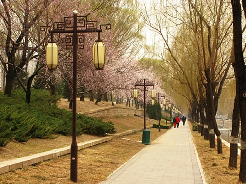 Du lịch Trung Quốc mùa xuân ảnh 3