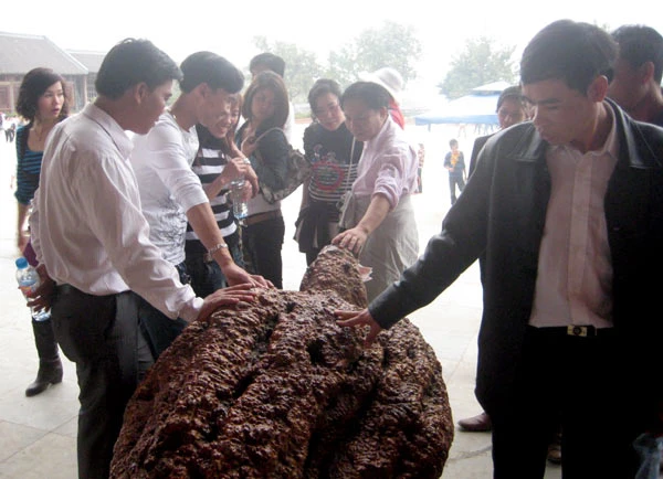 Một "cụ rùa" bằng gỗ đặt tại Điện Pháp Chủ cũng không được tha.