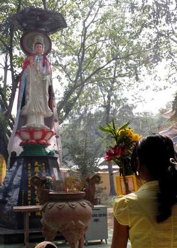 Bắt đầu từ ngày 13/2, chùa Phật Cô Đơn đã chật kín lượng người đổ về. Những người đến đây cho biết, do ngôi chùa có tên gọi độc đáo “Chùa cô đơn” nên họ tìm đến đây cầu khẩn hy vọng Đức Phật sẽ hiển linh giúp họ tìm được một nửa còn lại. Ngoài việc đến cầu mong tình duyên, họ còn đến xin giải hạn, xem bói, xem tướng số… Nhiều người đến đăng ký lễ "cắt duyên tiền kiếp" vì tin rằng kiếp này mình khó có người yêu là do nợ tình kiếp trước vẫn chưa trả hết. Rất nhiều chàng trai, cô gái trẻ lễ chùa dâng hương. Các mẹ dẫn theo con gái cũng thành tâm cầu khấn. Cô gái trẻ thành kính dâng hương trước tượng Phật. Còn bạn gái này âm thầm tìm đến với tượng Bồ tát khuất sau ngôi chùa để cầu nguyện. Chàng trai quỳ khá lâu dưới chân tượng Phật... Sân chùa luôn đông nghịt khách. Nhà sư trụ trì chùa cho biết, trước năm 1975, nơi đây là vùng chiến sự. Bom Mỹ phá nát chùa Thanh Tâm cạnh đó, dân chúng bị đưa đi tứ tán, riêng tượng Phật ngồi lại một mình. Đó là tượng Thích Ca Mâu Ni (vì thế người dân địa phương gọi là tượng Phật cô đơn), cao 4,8 mét, ngang 4 mét, được đúc từ chùa Xá Lợi và đưa về an vị từ năm 1957. Bắt đầu từ ngày 13/2, chùa Phật Cô Đơn đã chật kín lượng người đổ về. Những người đến đây cho biết, do ngôi chùa có tên gọi độc đáo “Chùa cô đơn” nên họ tìm đến đây cầu khẩn hy vọng Đức Phật sẽ hiển linh giúp họ tìm được một nửa còn lại. Ngoài việc đến cầu mong tình duyên, họ còn đến xin giải hạn, xem bói, xem tướng số… Nhiều người đến đăng ký lễ "cắt duyên tiền kiếp" vì tin rằng kiếp này mình khó có người yêu là do nợ tình kiếp trước vẫn chưa trả hết. Rất nhiều chàng trai, cô gái trẻ lễ chùa dâng hương. Các mẹ dẫn theo con gái cũng thành tâm cầu khấn. Cô gái trẻ thành kính dâng hương trước tượng Phật. Còn bạn gái này âm thầm tìm đến với tượng Bồ tát khuất sau ngôi chùa để cầu nguyện. Chàng trai quỳ khá lâu dưới chân tượng Phật... Sân chùa luôn đông nghịt khách. Nhà sư trụ trì chùa cho biết, trước năm 1975, nơi đây là vùng chiến sự. Bom Mỹ phá nát chùa Thanh Tâm cạnh đó, dân chúng bị đưa đi tứ tán, riêng tượng Phật ngồi lại một mình. Đó là tượng Thích Ca Mâu Ni (vì thế người dân địa phương gọi là tượng Phật cô đơn), cao 4,8 mét, ngang 4 mét, được đúc từ chùa Xá Lợi và đưa về an vị từ năm 1957.