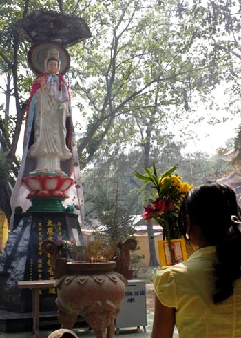 Bắt đầu từ ngày 13/2, chùa Phật Cô Đơn đã chật kín lượng người đổ về. Những người đến đây cho biết, do ngôi chùa có tên gọi độc đáo “Chùa cô đơn” nên họ tìm đến đây cầu khẩn hy vọng Đức Phật sẽ hiển linh giúp họ tìm được một nửa còn lại. Ngoài việc đến cầu mong tình duyên, họ còn đến xin giải hạn, xem bói, xem tướng số… Nhiều người đến đăng ký lễ "cắt duyên tiền kiếp" vì tin rằng kiếp này mình khó có người yêu là do nợ tình kiếp trước vẫn chưa trả hết. Rất nhiều chàng trai, cô gái trẻ lễ chùa dâng hương. Các mẹ dẫn theo con gái cũng thành tâm cầu khấn. Cô gái trẻ thành kính dâng hương trước tượng Phật. Còn bạn gái này âm thầm tìm đến với tượng Bồ tát khuất sau ngôi chùa để cầu nguyện. Chàng trai quỳ khá lâu dưới chân tượng Phật... Sân chùa luôn đông nghịt khách. Nhà sư trụ trì chùa cho biết, trước năm 1975, nơi đây là vùng chiến sự. Bom Mỹ phá nát chùa Thanh Tâm cạnh đó, dân chúng bị đưa đi tứ tán, riêng tượng Phật ngồi lại một mình. Đó là tượng Thích Ca Mâu Ni (vì thế người dân địa phương gọi là tượng Phật cô đơn), cao 4,8 mét, ngang 4 mét, được đúc từ chùa Xá Lợi và đưa về an vị từ năm 1957.