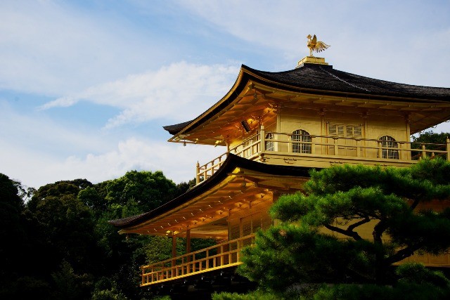 Chùa Gác Vàng – Nhật Bản tuyệt đẹp trong mùa Xuân ảnh 1