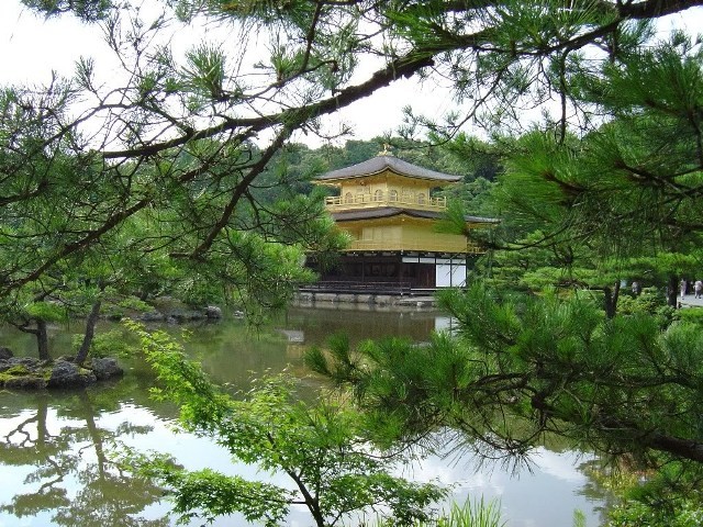 Chùa Gác Vàng – Nhật Bản tuyệt đẹp trong mùa Xuân ảnh 5