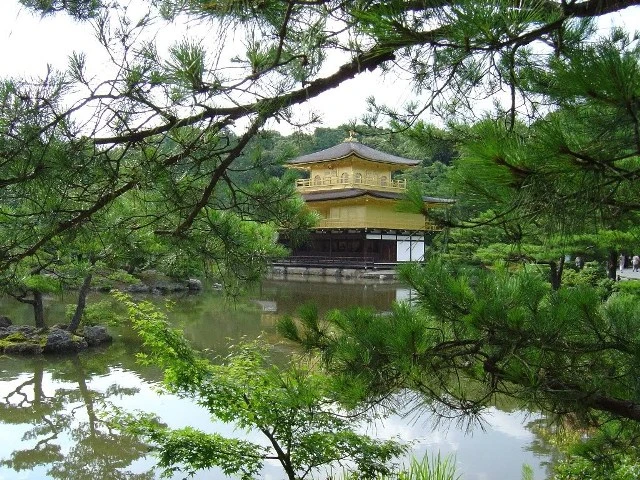 Chùa Gác Vàng – Nhật Bản tuyệt đẹp trong mùa Xuân ảnh 5