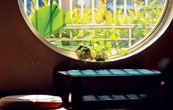 Góc trà xuân giữa lòng thành phố - Archi