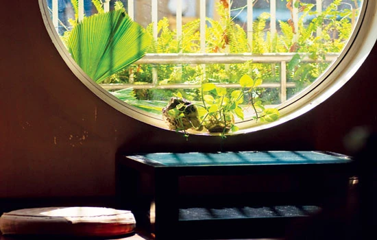 Góc trà xuân giữa lòng thành phố - Archi